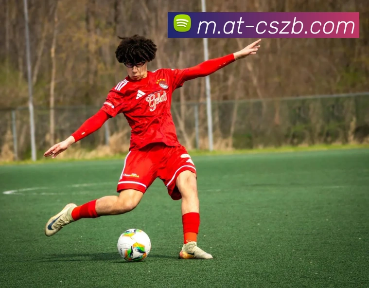 彩神争霸品牌故事